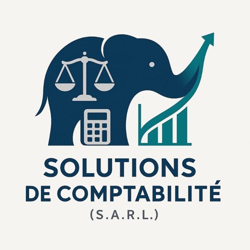 Solutions De Comptabilite