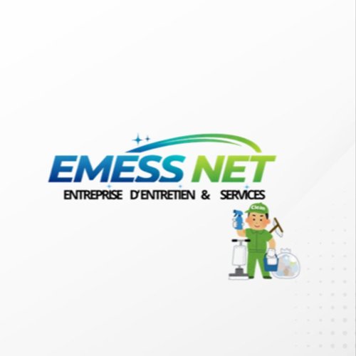 Emess Net Services
