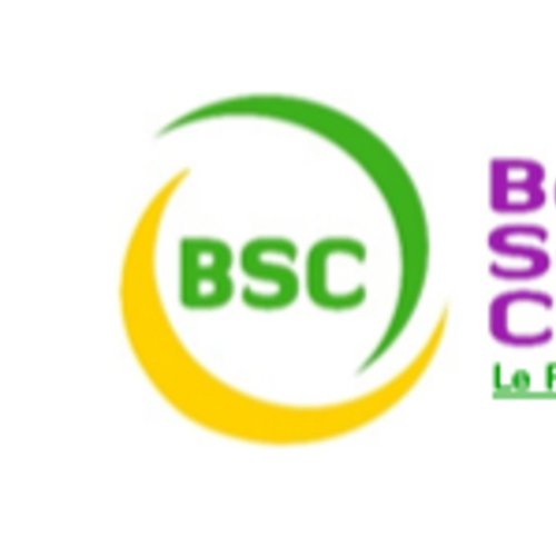 Bonheur Service & Consulting
